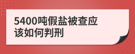 5400吨假盐被查应该如何判刑