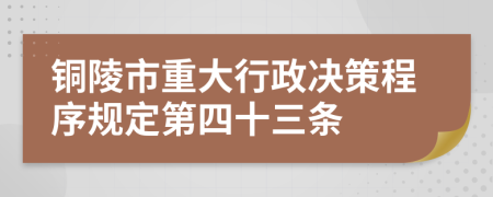 铜陵市重大行政决策程序规定第四十三条