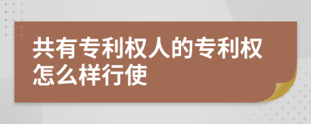 共有专利权人的专利权怎么样行使