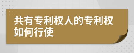 共有专利权人的专利权如何行使