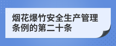 烟花爆竹安全生产管理条例的第二十条