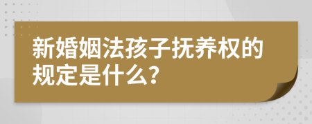 新婚姻法孩子抚养权的规定是什么？