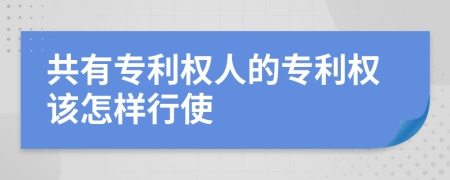 共有专利权人的专利权该怎样行使