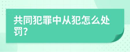 共同犯罪中从犯怎么处罚？