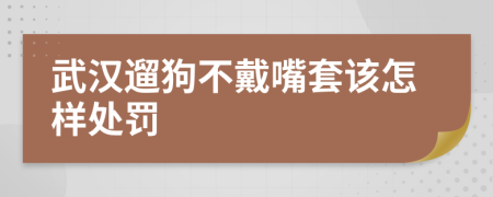 武汉遛狗不戴嘴套该怎样处罚