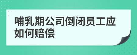 哺乳期公司倒闭员工应如何赔偿