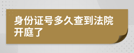 身份证号多久查到法院开庭了