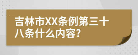 吉林市XX条例第三十八条什么内容?