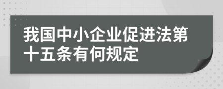 我国中小企业促进法第十五条有何规定