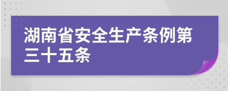 湖南省安全生产条例第三十五条
