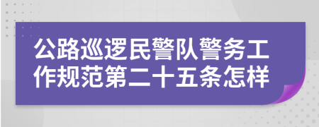 公路巡逻民警队警务工作规范第二十五条怎样