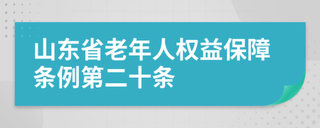 山东省老年人权益保障条例第二十条