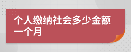 个人缴纳社会多少金额一个月