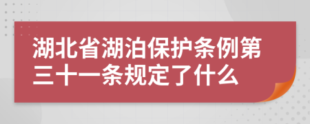 湖北省湖泊保护条例第三十一条规定了什么