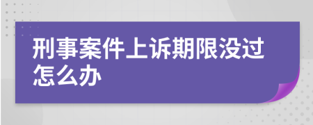 刑事案件上诉期限没过怎么办