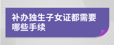 补办独生子女证都需要哪些手续