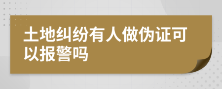 土地纠纷有人做伪证可以报警吗