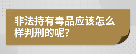 非法持有毒品应该怎么样判刑的呢？