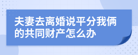 夫妻去离婚说平分我俩的共同财产怎么办