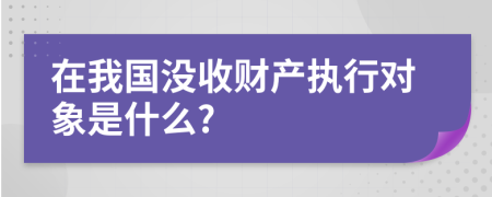 在我国没收财产执行对象是什么?