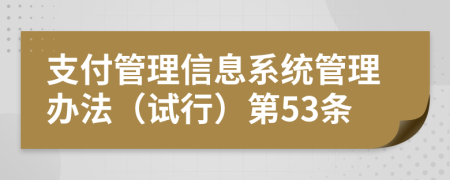 支付管理信息系统管理办法（试行）第53条