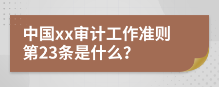 中国xx审计工作准则第23条是什么？