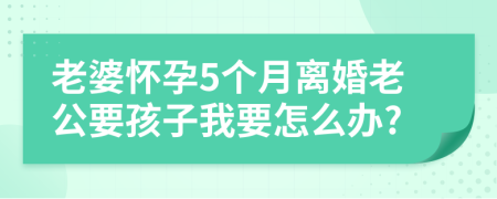 老婆怀孕5个月离婚老公要孩子我要怎么办?