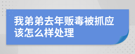 我弟弟去年贩毒被抓应该怎么样处理