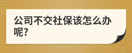 公司不交社保该怎么办呢?