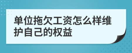 单位拖欠工资怎么样维护自己的权益