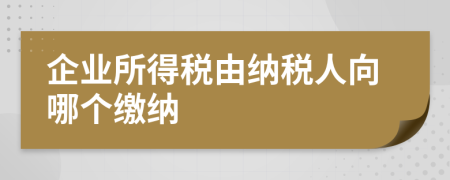 企业所得税由纳税人向哪个缴纳