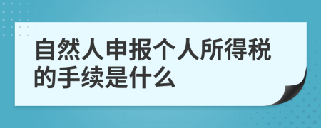 自然人申报个人所得税的手续是什么