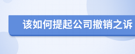 该如何提起公司撤销之诉