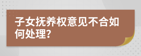 子女抚养权意见不合如何处理？