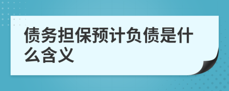 债务担保预计负债是什么含义