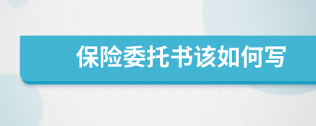 保险委托书该如何写