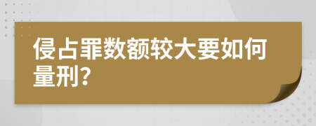 侵占罪数额较大要如何量刑？