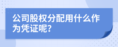 公司股权分配用什么作为凭证呢？