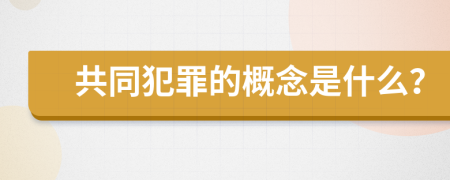 共同犯罪的概念是什么？