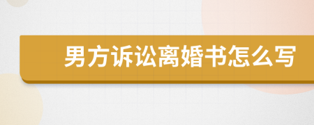 男方诉讼离婚书怎么写
