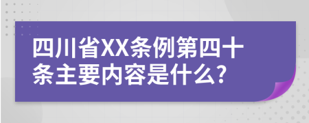 四川省XX条例第四十条主要内容是什么?