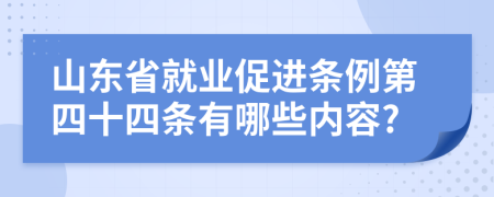 山东省就业促进条例第四十四条有哪些内容?