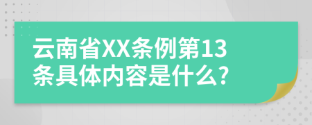 云南省XX条例第13条具体内容是什么?