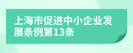 上海市促进中小企业发展条例第13条