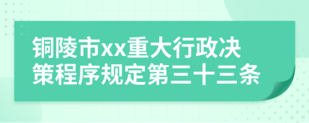 铜陵市xx重大行政决策程序规定第三十三条