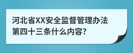 河北省XX安全监督管理办法第四十三条什么内容?