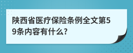 陕西省医疗保险条例全文第59条内容有什么?