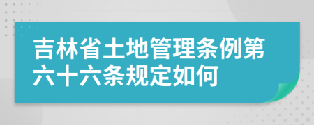 吉林省土地管理条例第六十六条规定如何