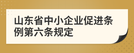 山东省中小企业促进条例第六条规定