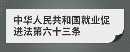 中华人民共和国就业促进法第六十三条